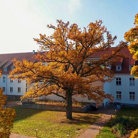 Parkresidenz Lychen, Ferienwohnung 8 Екстериор снимка